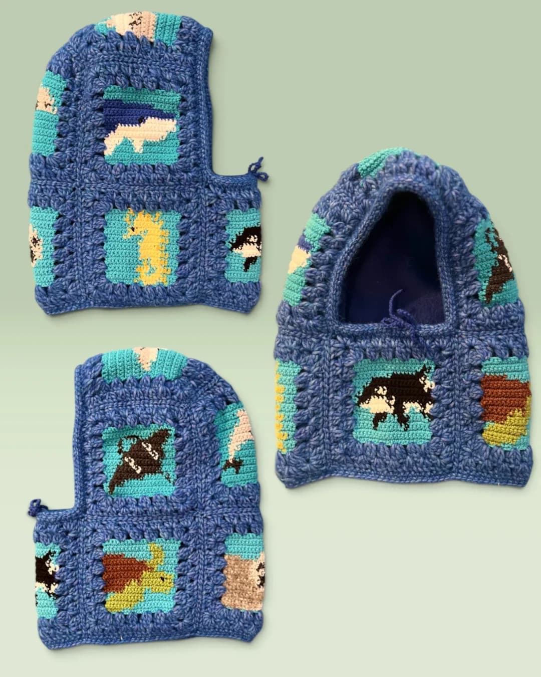 Balaclava morskie stworzenia